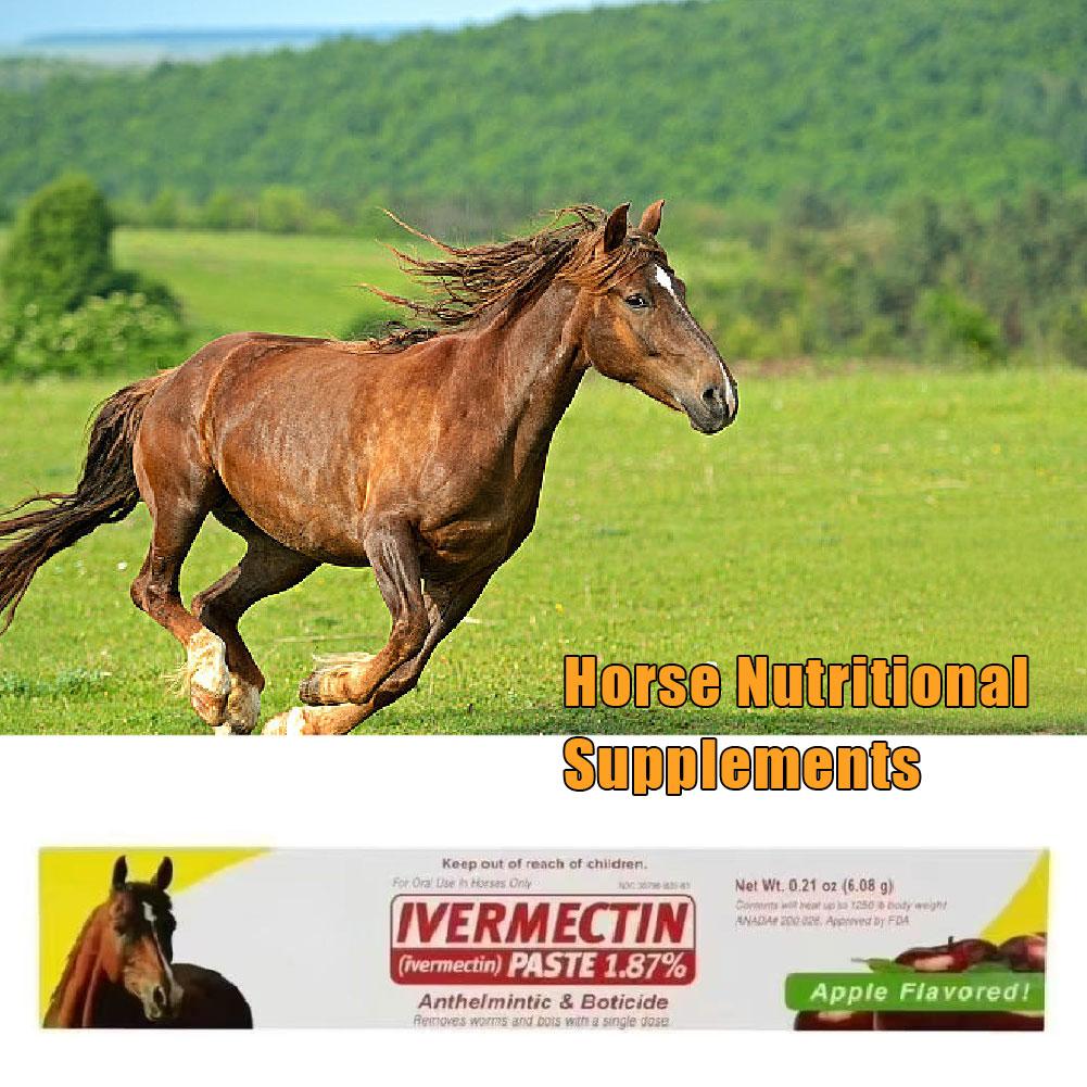 10X Paste Horse Dewormer - Apple Flavor Exp 12/2026 Anthelmintic & Boticide (Free shipping Fast delivery)